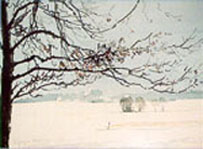 Music from Mind and Soul